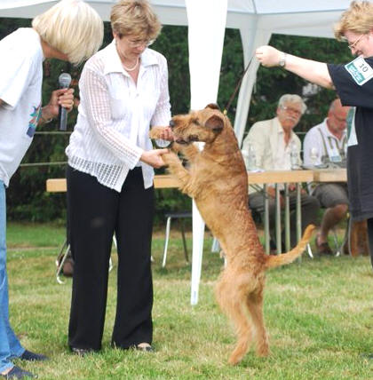 Rufi auf der Ausstellung